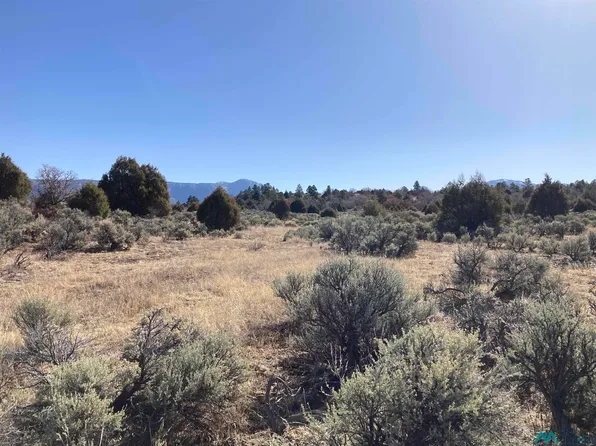 Tierra Grande Lots #52-53-24, Tierra Amarilla, NM 87575
