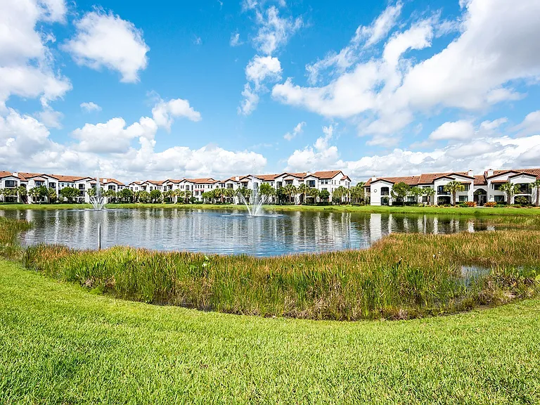 Lake Views