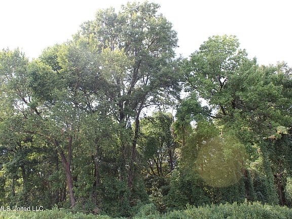 4th image of 13 Star Landing Rd