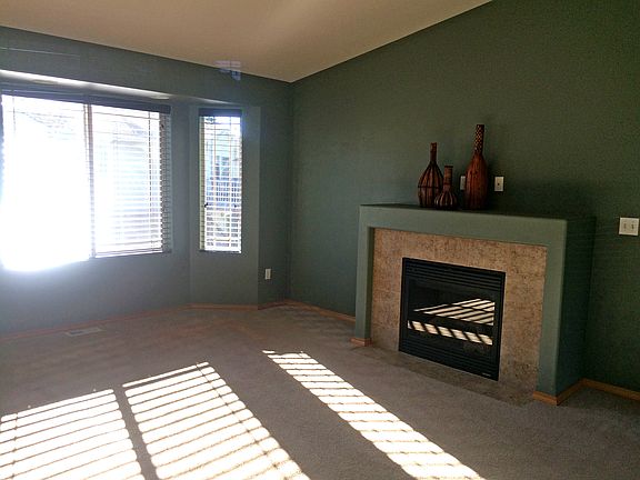 Natural Gas Fireplace