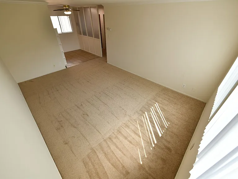 268 Vernon St. — Photo 12