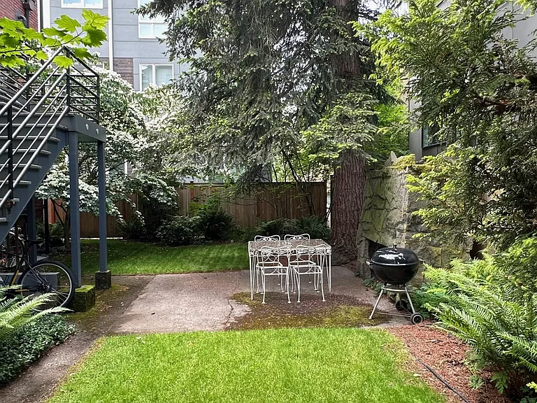 Backyard in the spring.