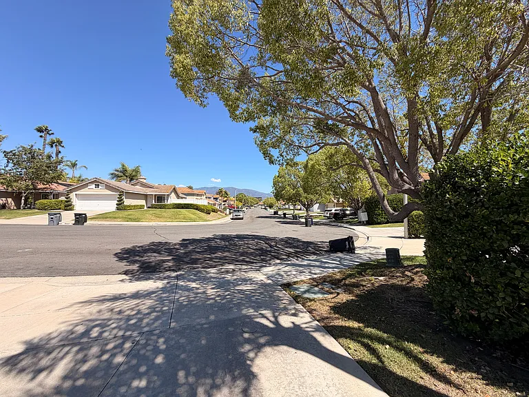 31057 Ruidosa St — Photo 22