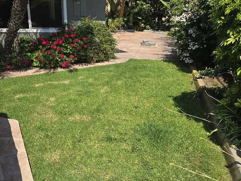 17752 Collins Cir — Photo 15