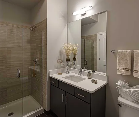 547 S Clark St #605 — Photo 6