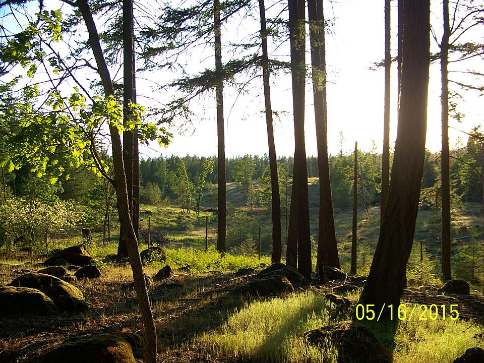 Looking W at western edge