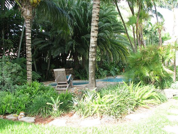 Tropical Landscaped Patio