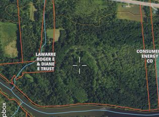 9103 W Bluewater Hwy, Saranac, MI 48881