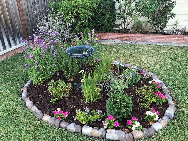 English Garden - Front Yard