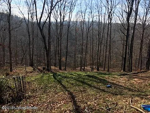 11440 Peonia Rd photo 1