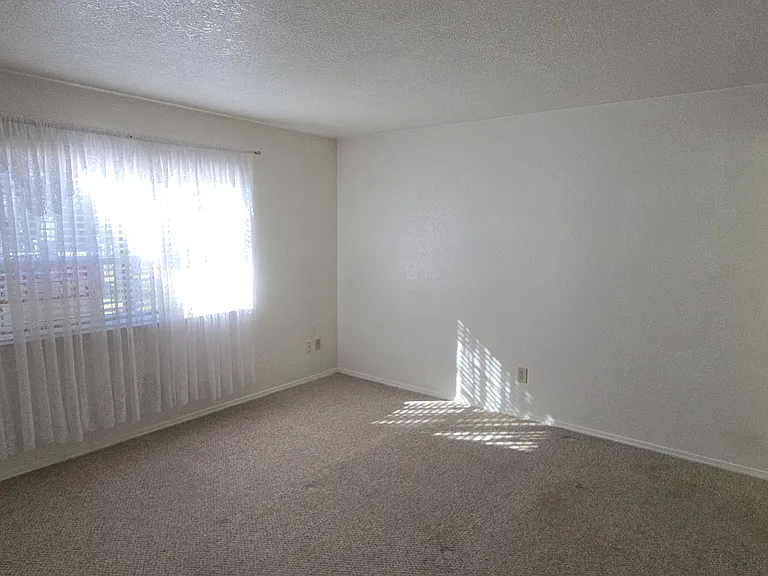 1650 N Lakeview Ln — Photo 11