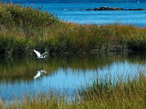 70 Kenilworth Drive East