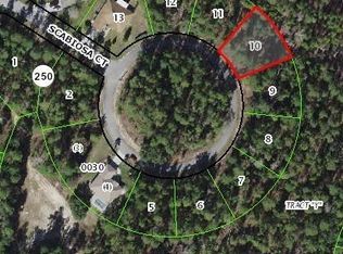 10 Scabiosa Ct, Homosassa, FL 34446
