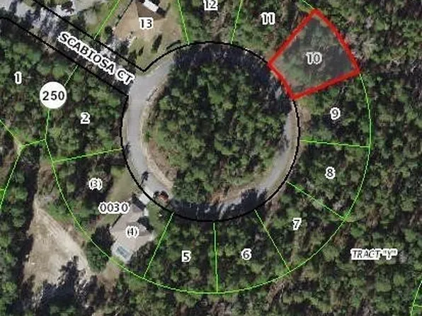 10 Scabiosa Ct, Homosassa, FL 34446