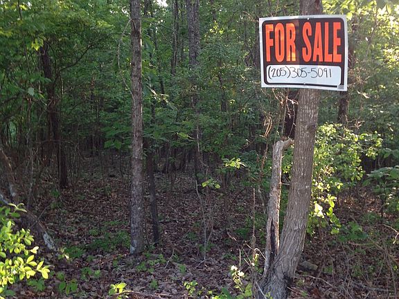 Beautiful Wooded 3.05 Acre