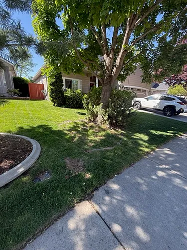 1727 E Pegram St Photo 1