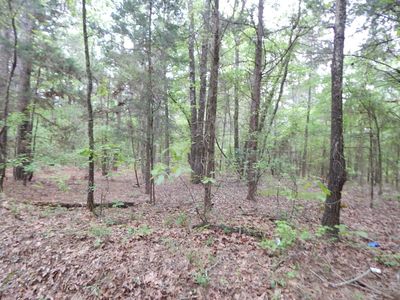 LOT 39 Winterberry Rd, Big Sandy, TX, 75755