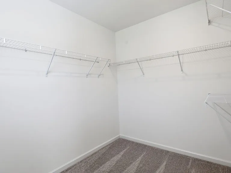 318 Sweetbay Tree Dr — Photo 11