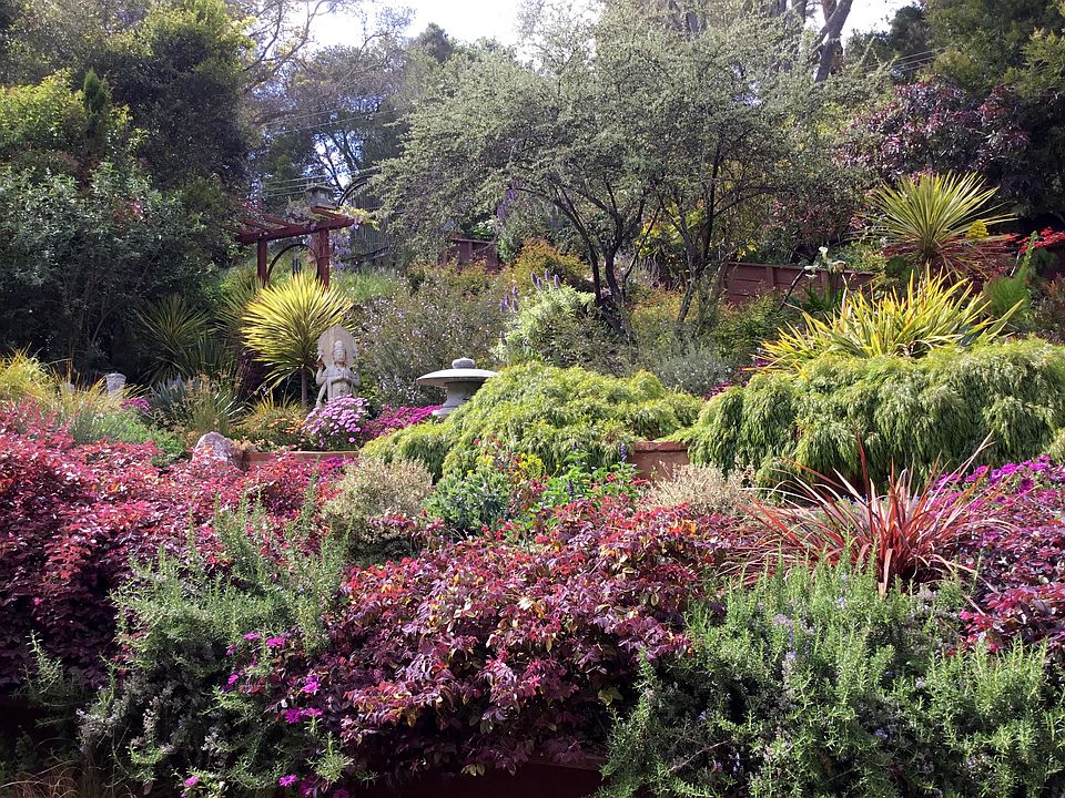 A shot of extensive gardens on property