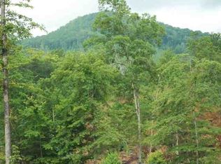 116 Leming Ln, Tellico Plains, TN 37385