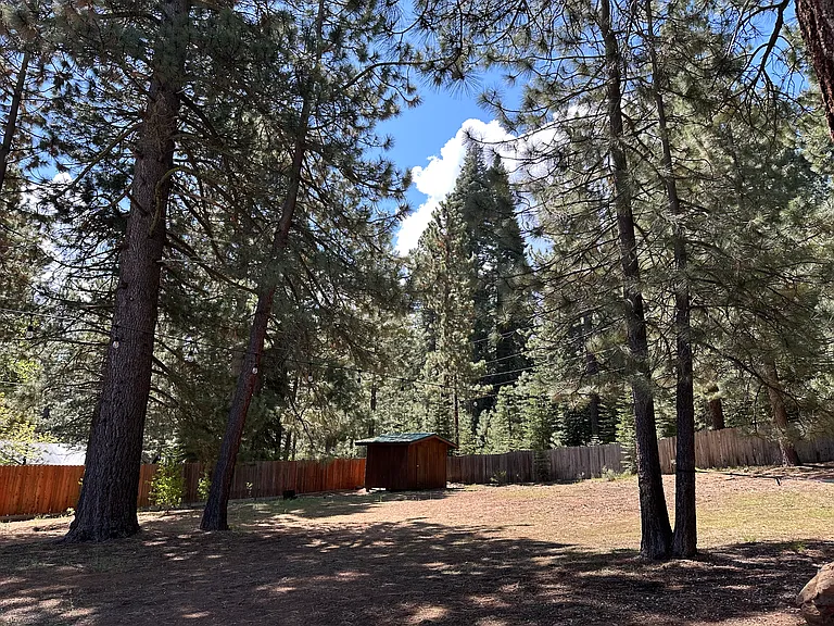 10745 Jeffery Pine Rd — Photo 28