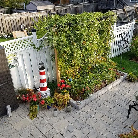 146 Virginia St — Photo 18