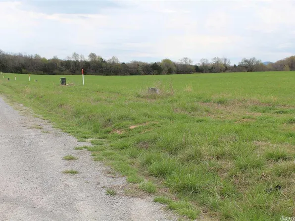 Lydia Ln, Flippin, AR 72634