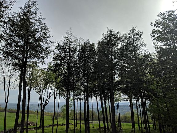 Westward Facing Views of the Catskill Mountains