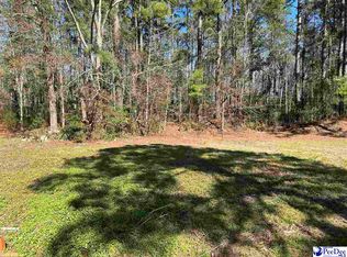 LOT Highway 1124, Conway, SC 29526