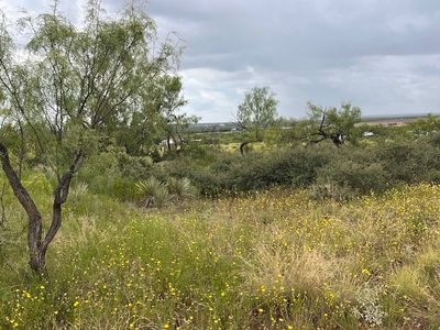 Tbd2 County Rd #405, Merkel, TX, 79536