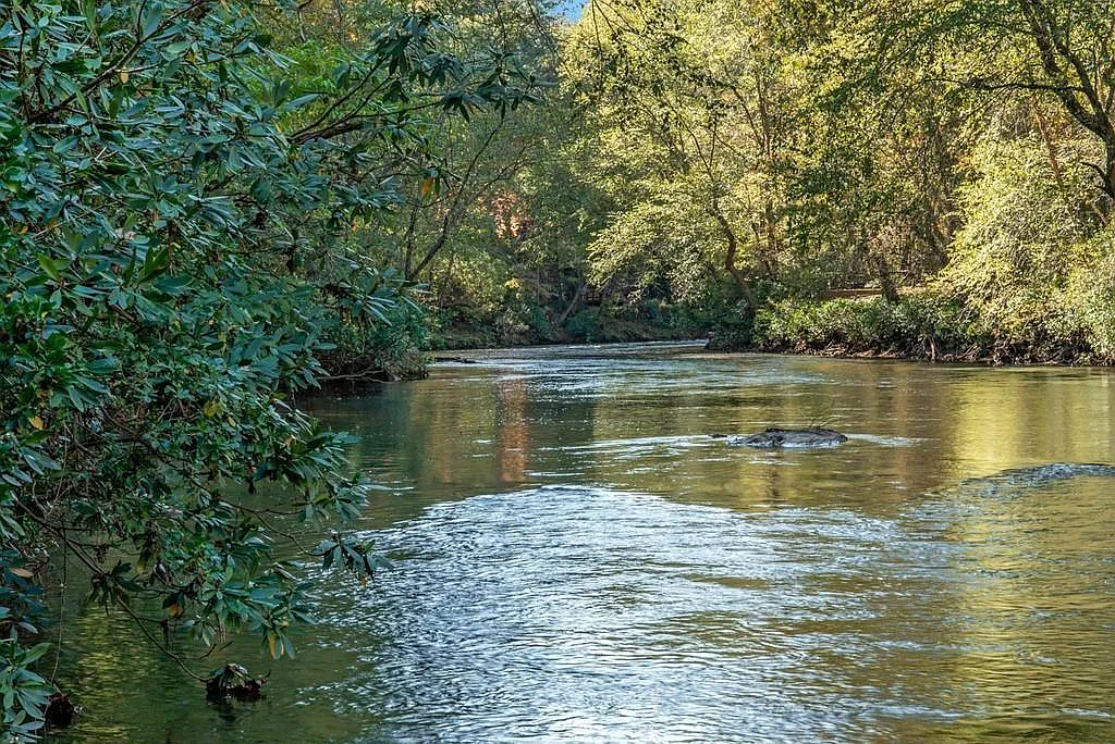 River Forest Run #123 photo 1