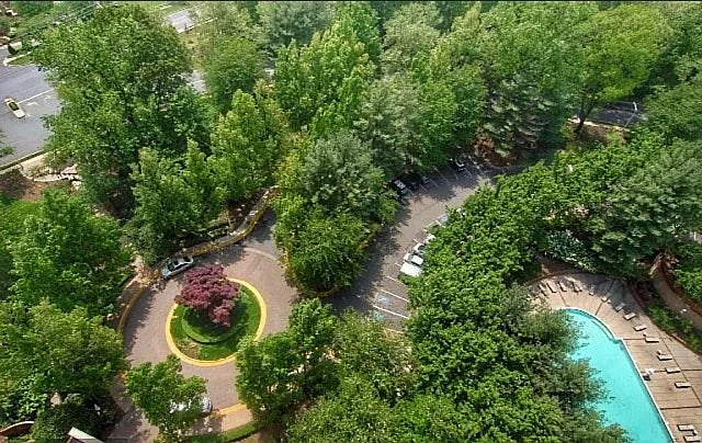 View from Balcony