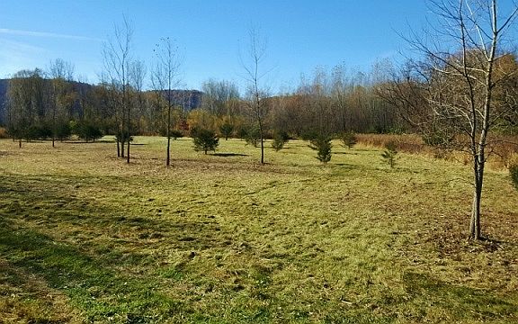 2nd image of Bear Point Shores #4