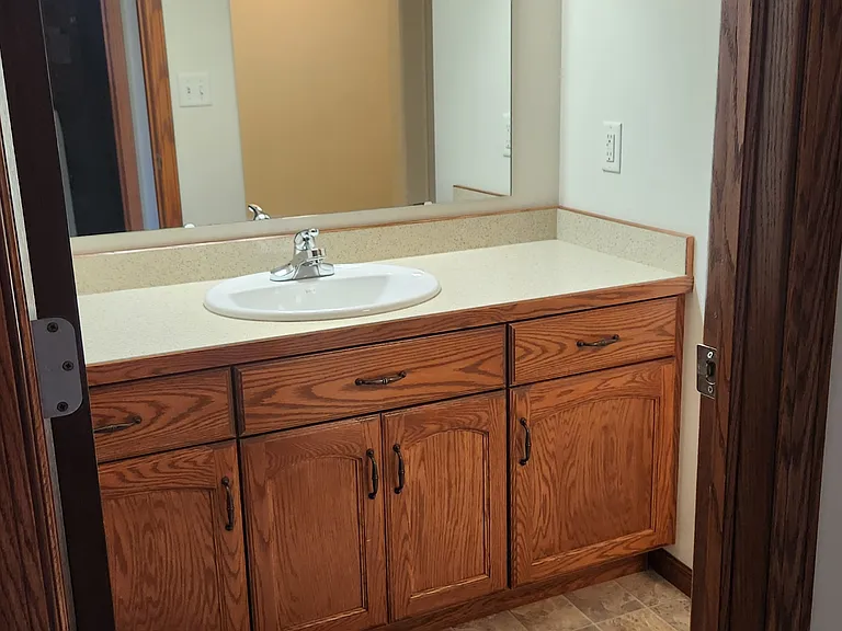 Lower level full bathroom