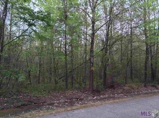 Tbd Palmer Rd, Livingston, LA 70754