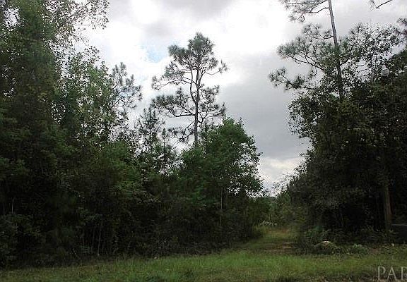 4th image of 1038 Fleming Dr