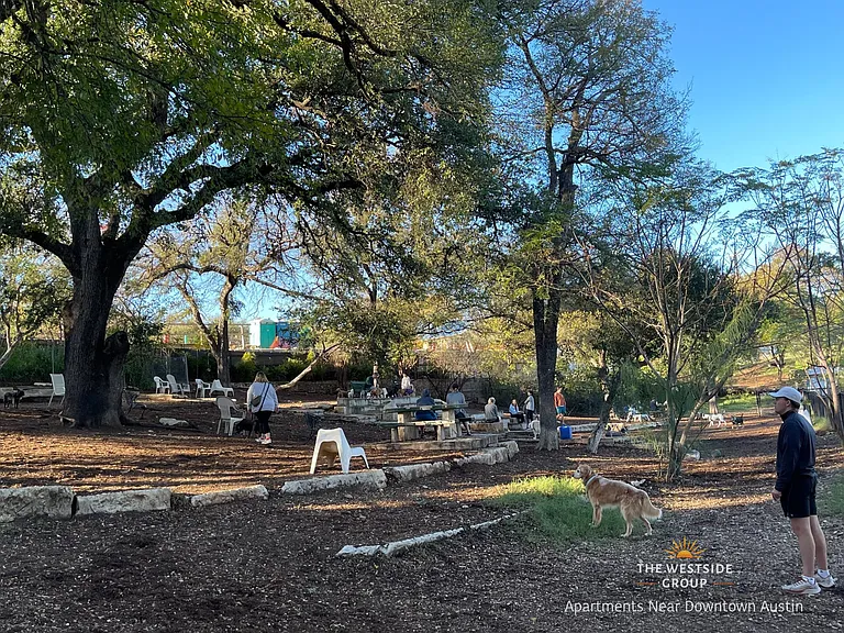 nearby dog park