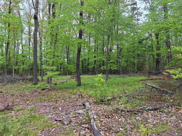 00 Jackson Drive, Washington, NH 03280