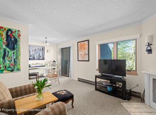 425 Park Cir #C-3, Aspen, CO 81611