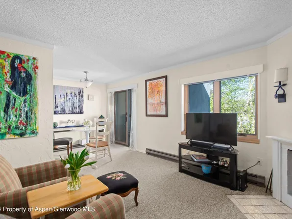 425 Park Cir #C-3, Aspen, CO 81611