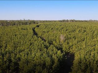 1886 Fm 247, Huntsville, TX 77320