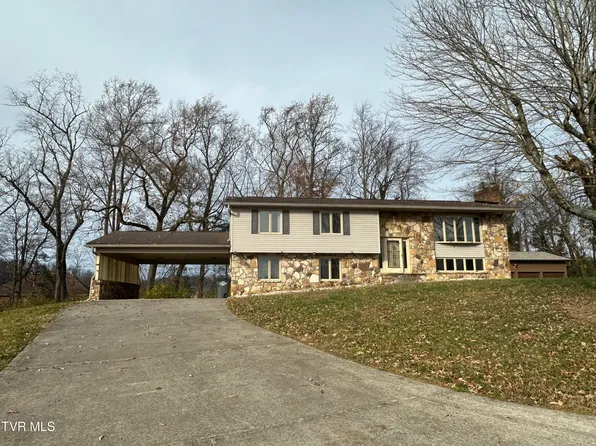 124 Arlington Cir, Kingsport, TN 37663