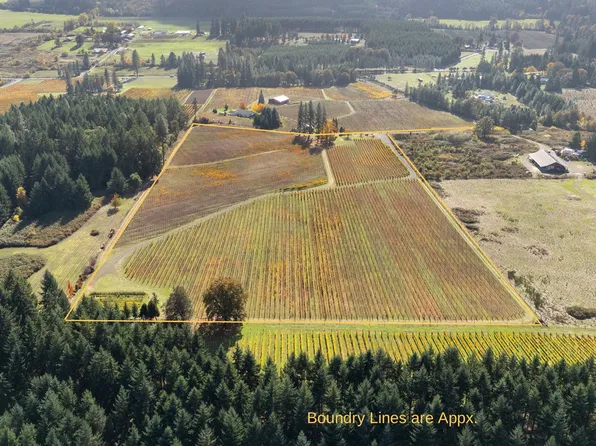 25219 High Pass Rd, Junction City, OR 97448