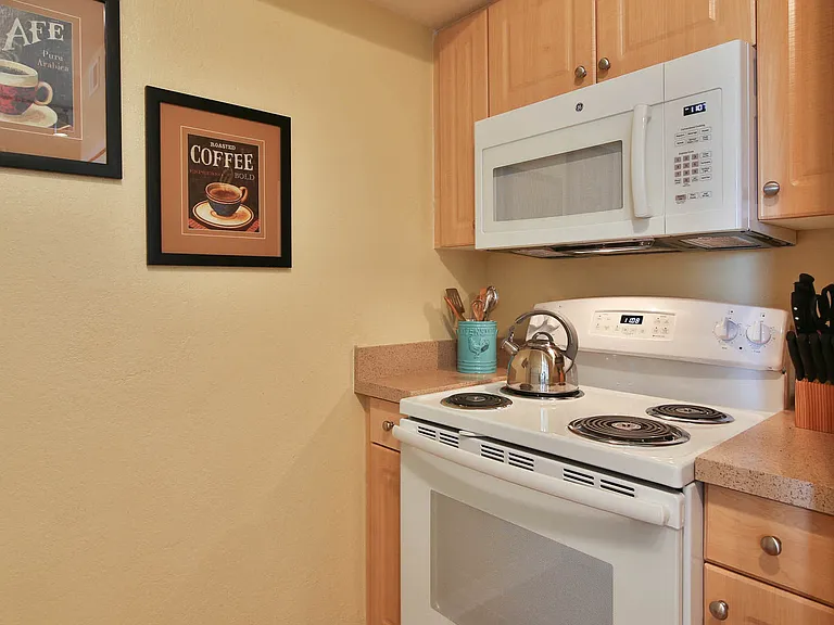 Springs at Palma Sola Apartments — Photo 7