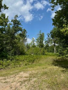 V/l 10ac W Townline Rd, Grayling, MI, 49738