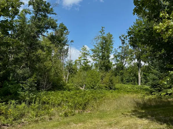 V/l 10ac W Townline Rd, Grayling, MI 49738