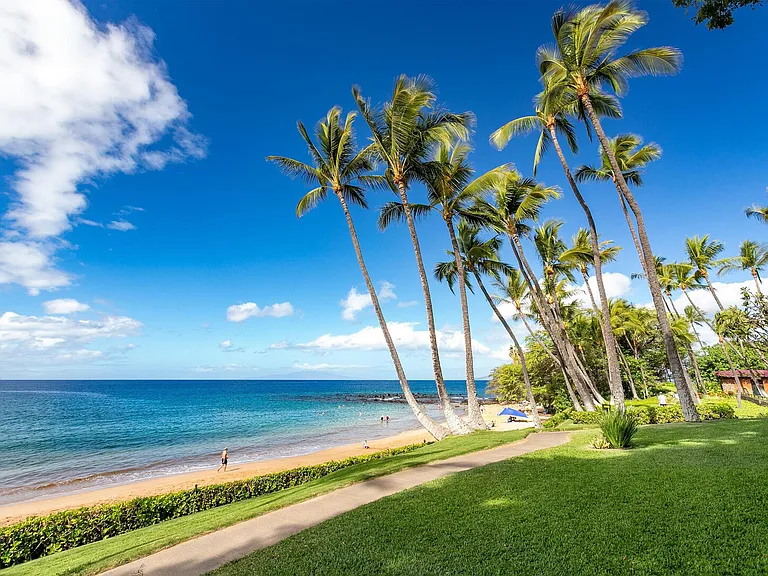 Wailea Alanui Dr — Photo 43