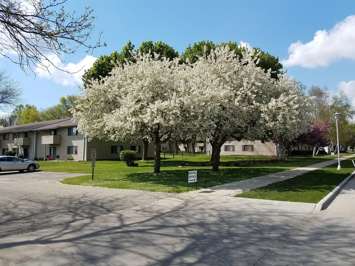 Courtyard Apartments — Photo 4