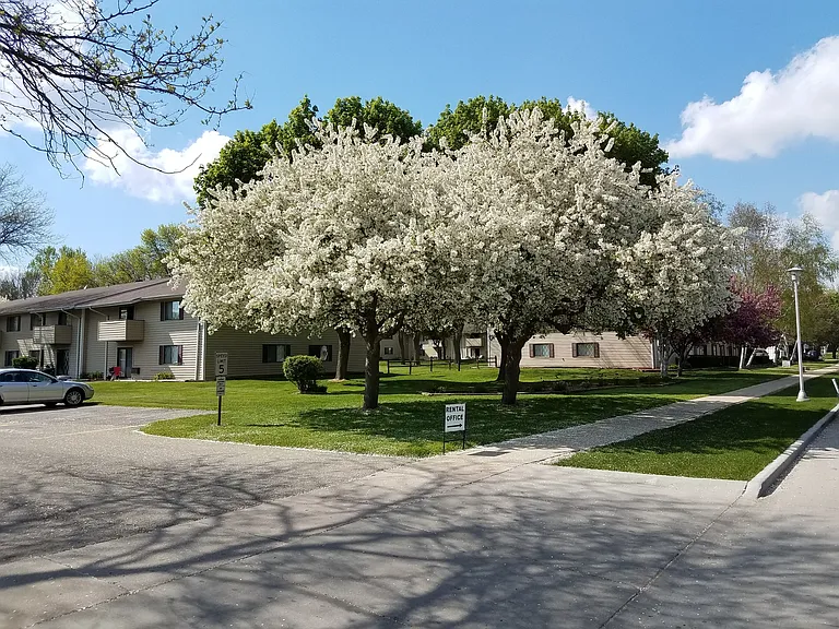 820 S Lincoln Ave — Photo 4