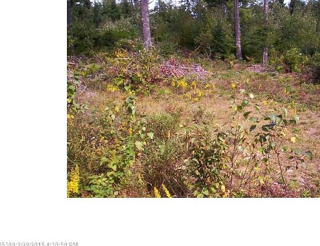 2nd image of 21 10th Rd